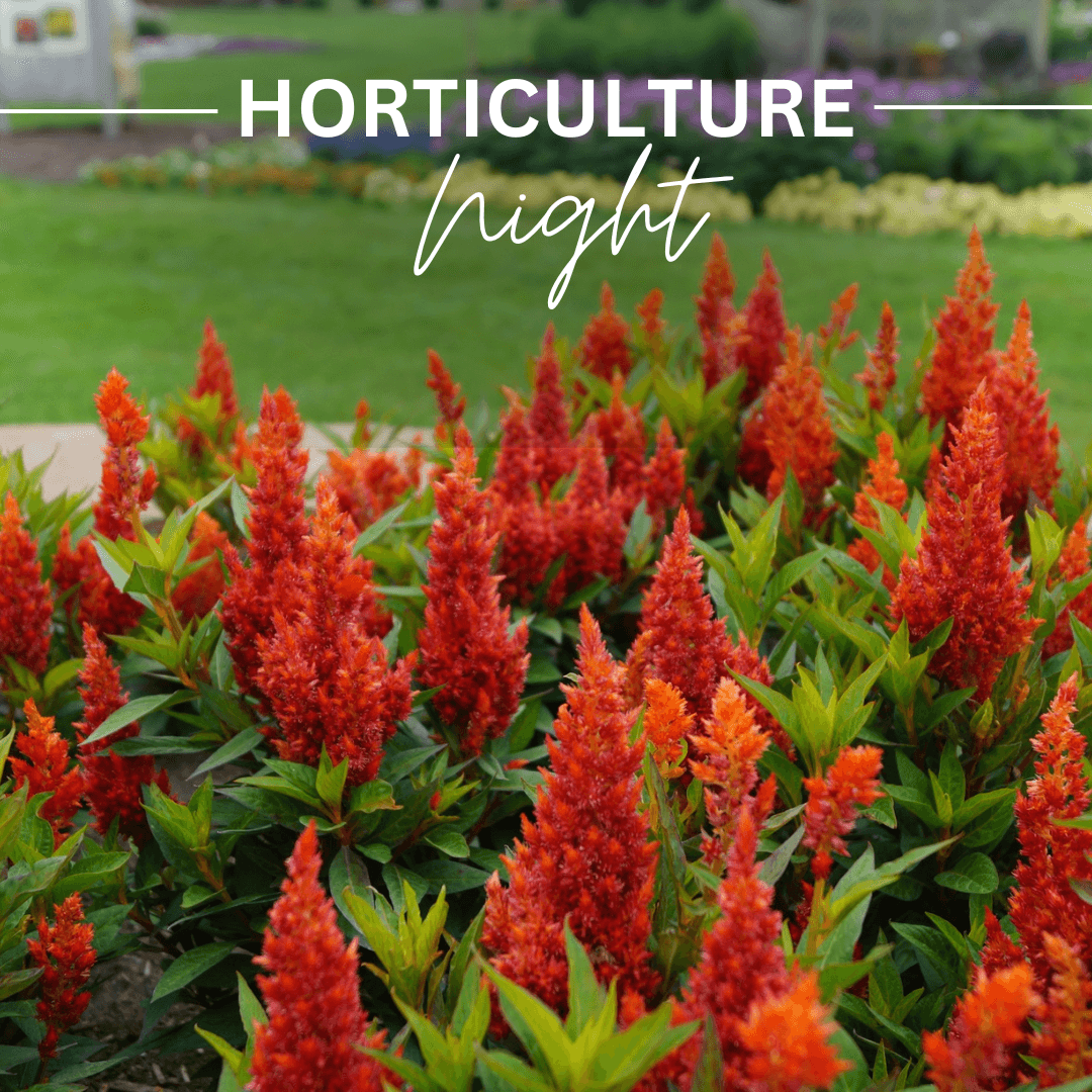 2025 Horticulture Night in Morris MN July 31